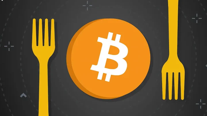 что такое форк в криптовалюте